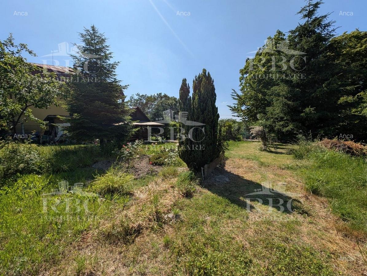 Teren pentru constructie casa in Faget - 9