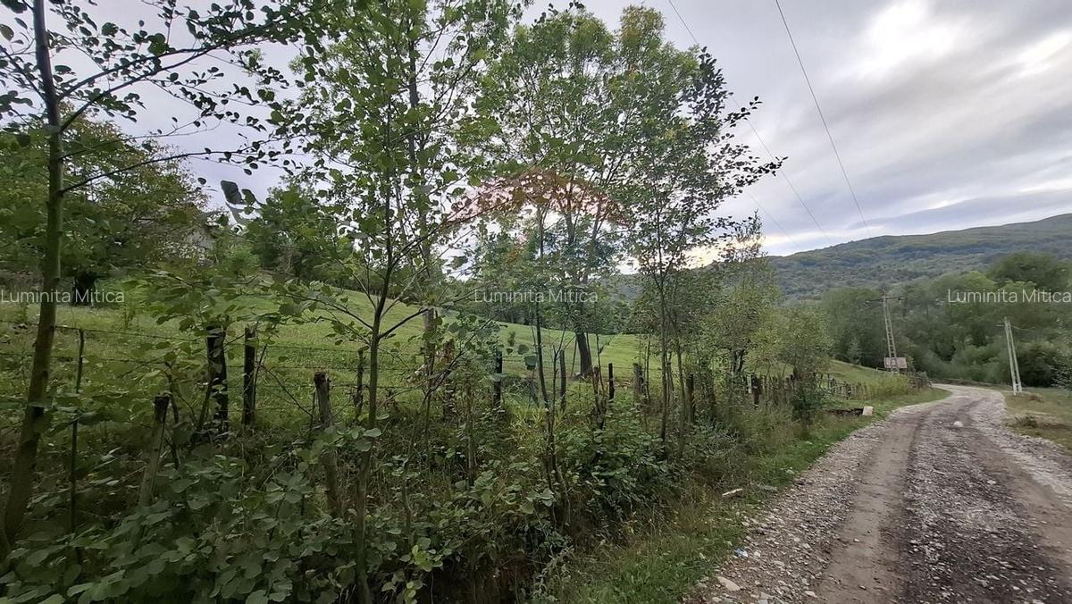 Teren cu priveliste spectaculoasa, 4000mp, la 18km de Sinaia - 8