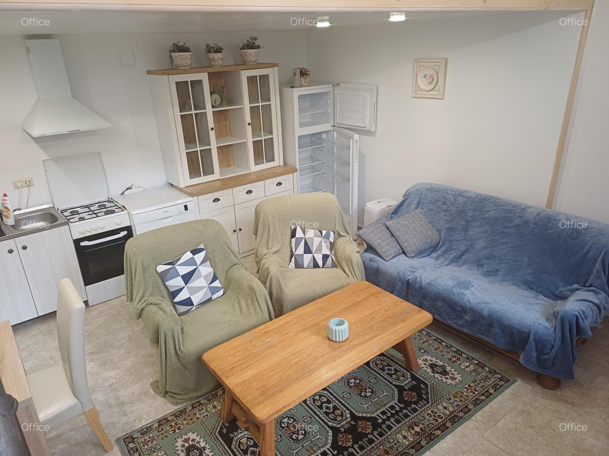 Închiriere ap. 1 cameră, sup. 40 mp. în Centru, zona Prefecturii - 4