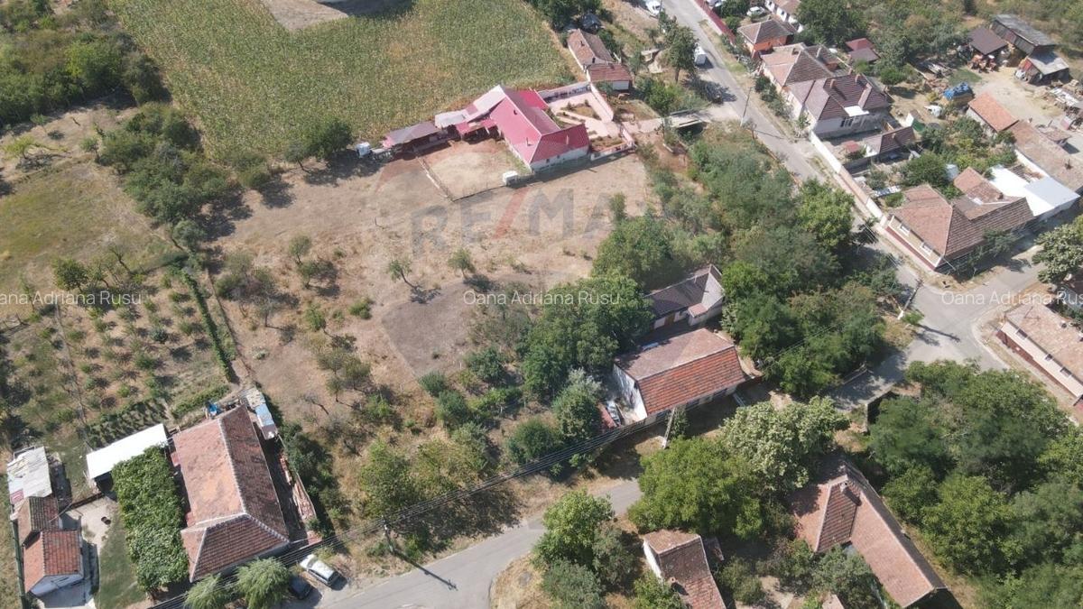 Teren pentru casa in Siria pe Soseaua spre Cetate - 4