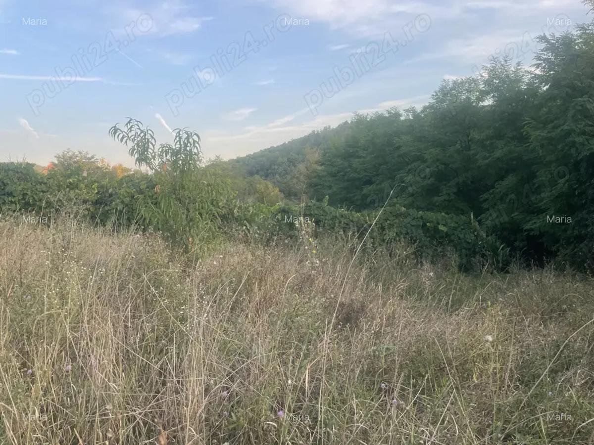 Casa de vinzare la tara - 9