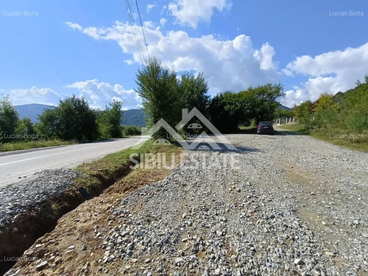 Teren  construibil ,la sosea, intre Vale si Sibiel, zona cu potential - 5
