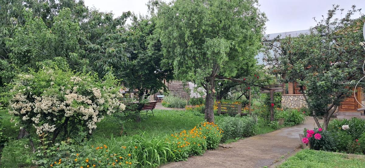 Lumina-teren 4297mp cu deschidere la DN - 1 Lumina-teren 4297mp cu deschidere la DN - 1