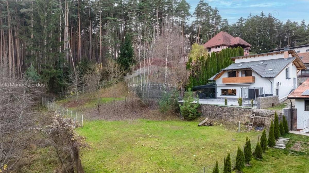 Vila moderna cu vedere spre padure Poiana Angelescu - 9