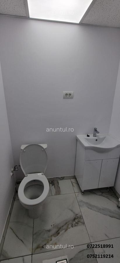 Rosiori, Vedea, casa refacuta, finisata, ocazie - 10