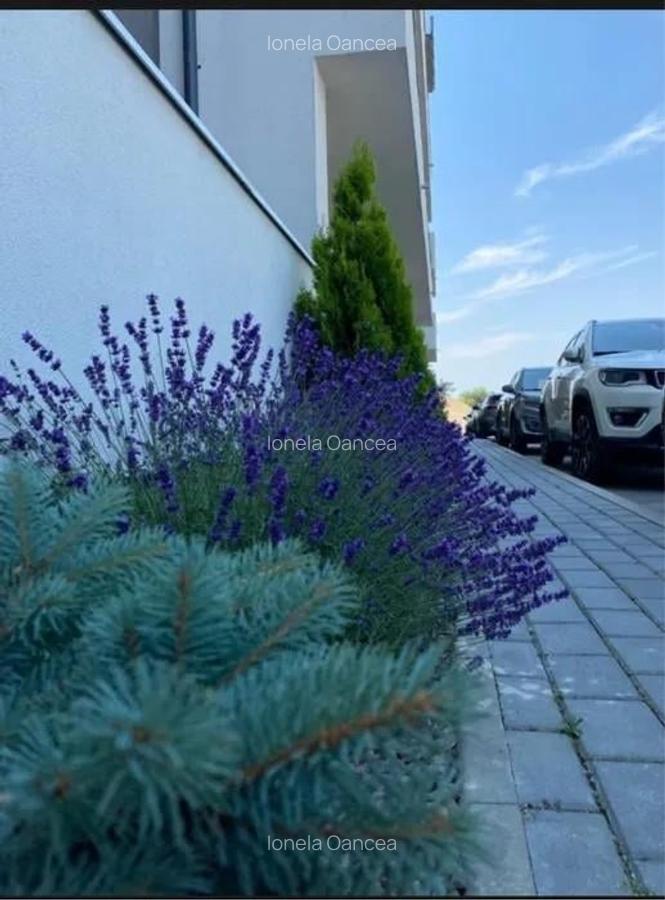 Apartament 2 camere, bloc nou, zona Rulmentul, etaj intermediar - 6