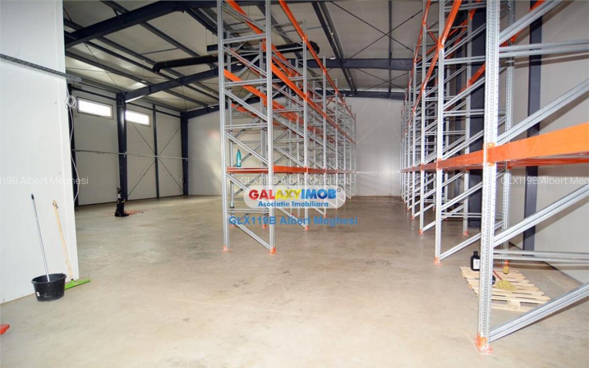 Hala 482 mp Chiajna Centura - 5