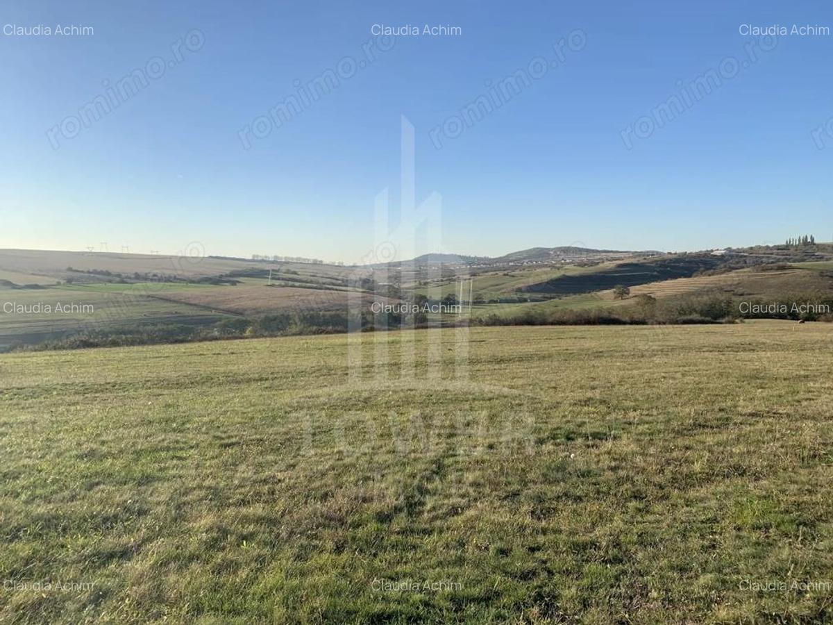 Teren pentru constructie cabana in Dealul Daii-parcele de 650 mp - 4 Teren pentru constructie cabana in Dealul Daii-parcele de 650 mp - 4