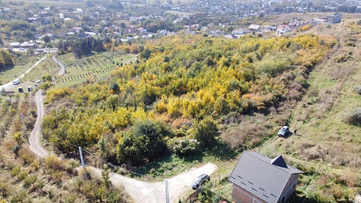 Teren Extravilan Bucium - Mun Iasi - 2