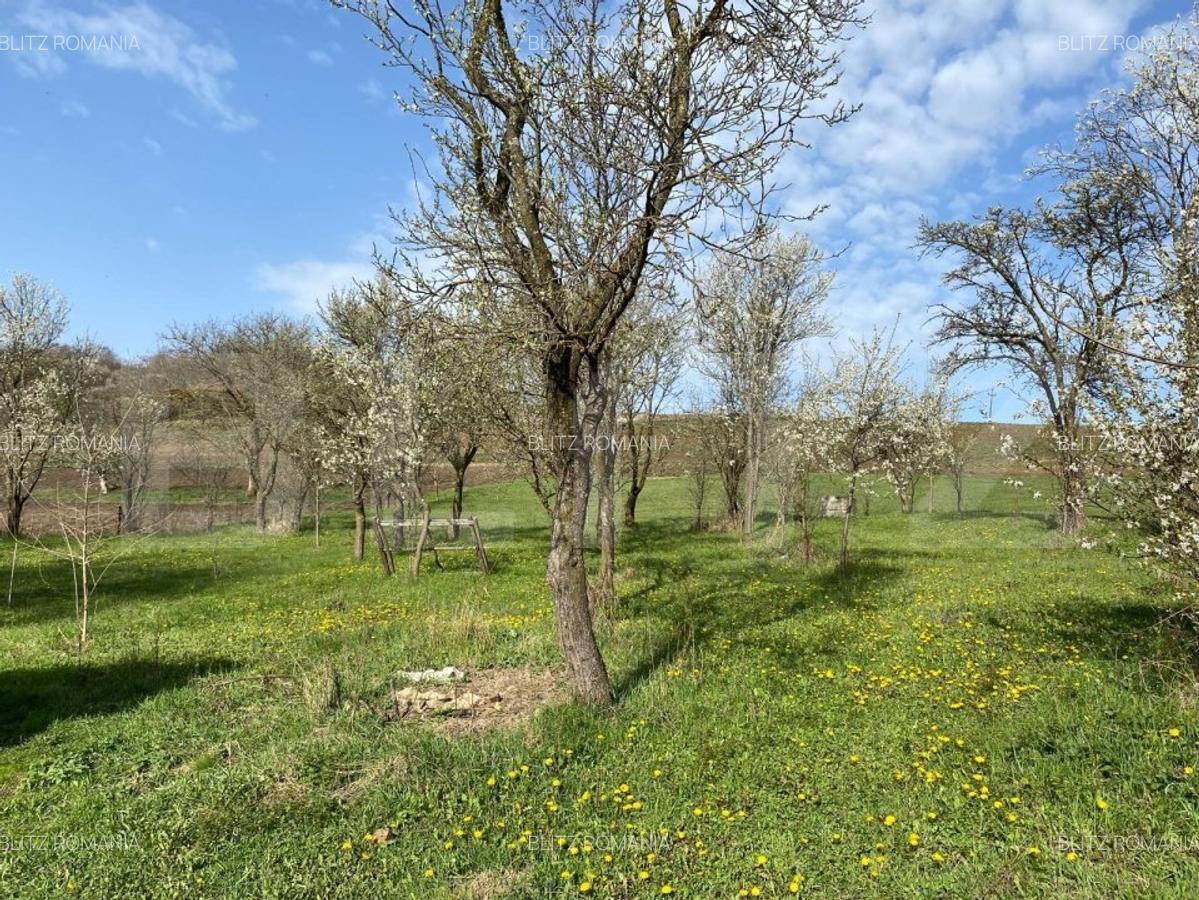 Casa  cu 10000mp de teren in Buza, la 50 km de Cluj-Napoca - 5