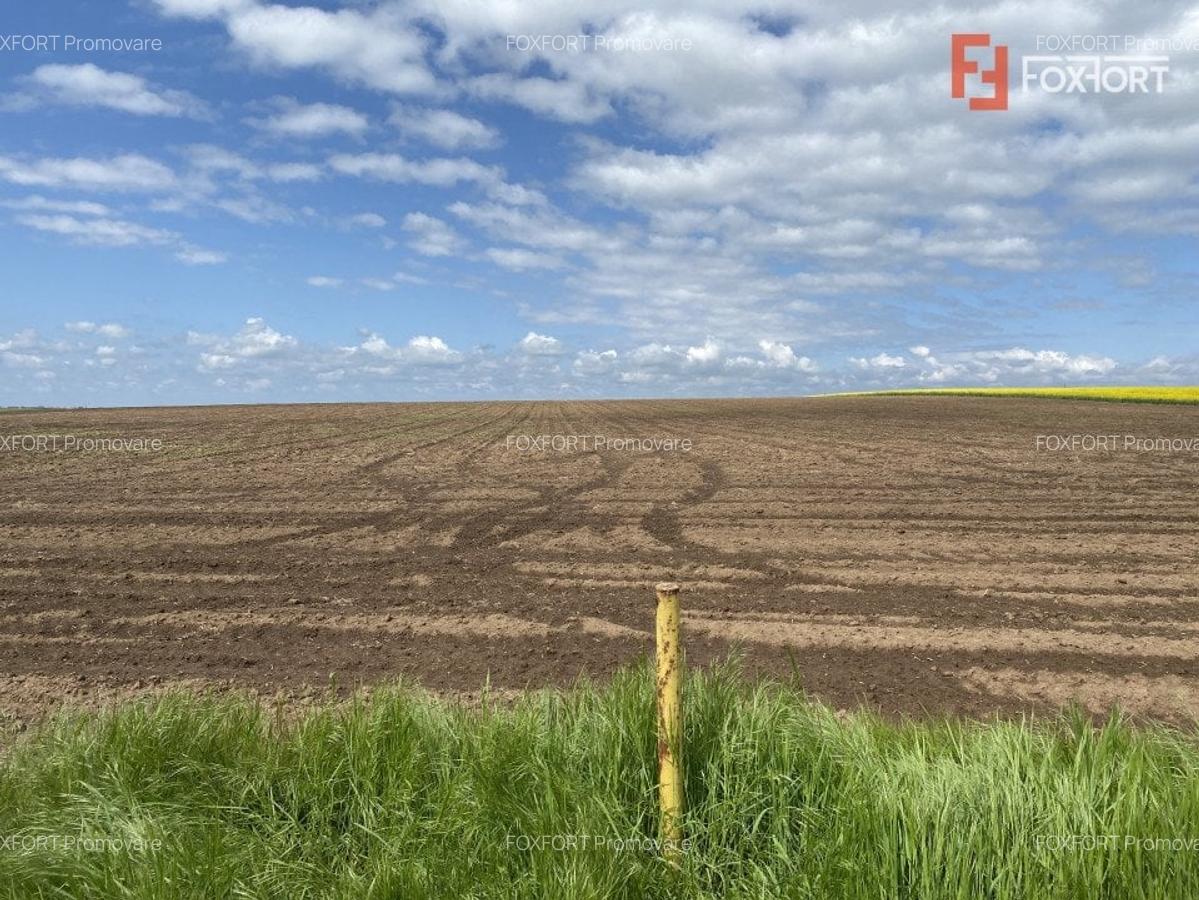 Teren Agricol | Opurtunitate investitie | Sananadrei - ID V713 - 4