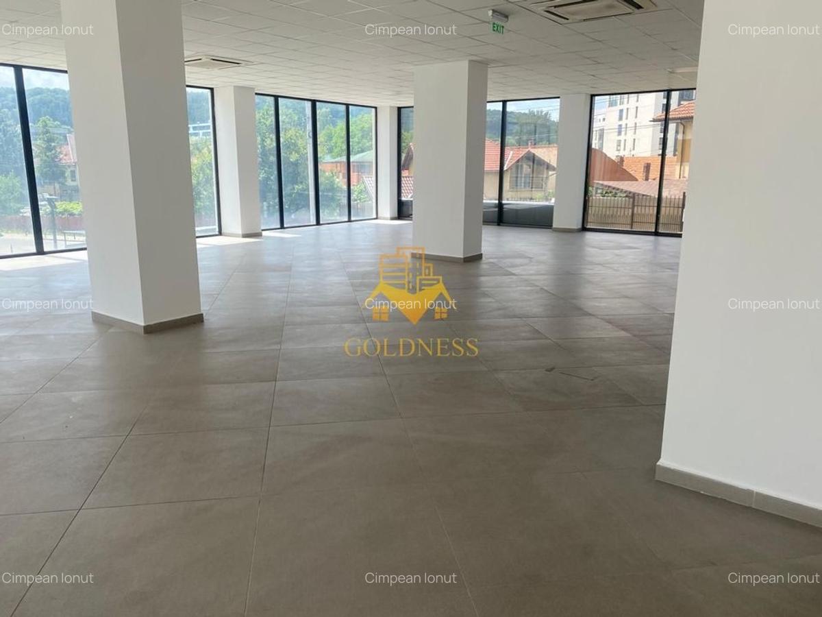 Spatiu comercial, Cartier Dambul Rotund, Lombului, Corneliu Coposu. - 5