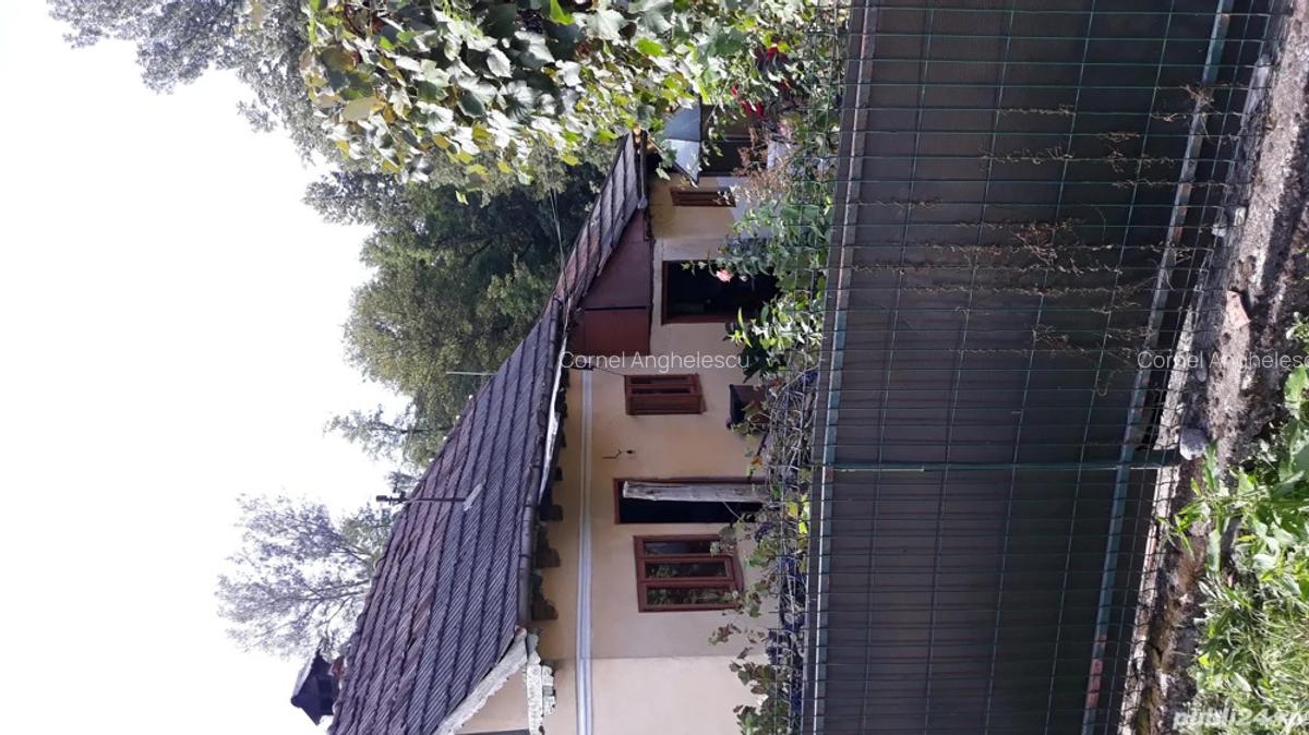 La vanzare doua case locuibile ?i teren 1000 de mp in com. Pietrari, jude?ul Valcea . - 5