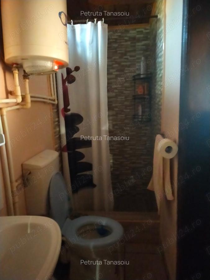 Vand casa la curte - 1