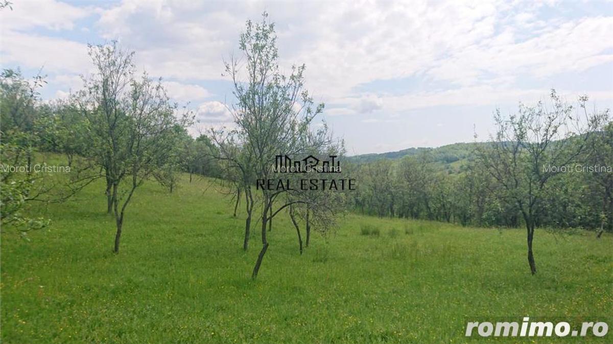 Teren in Apuseni Tebea - 8