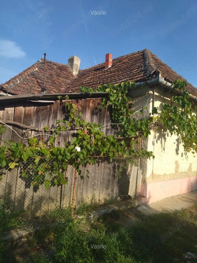 Vand casa locuibila cu vie ?i teren In sat Doh, comuna Maeriste - 4