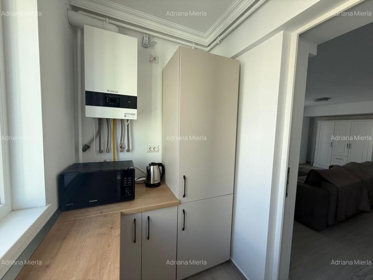 Apartament, 2 camere, 60 mp, open space, Lapus Arges , Zona Trenul Pierdut - 6