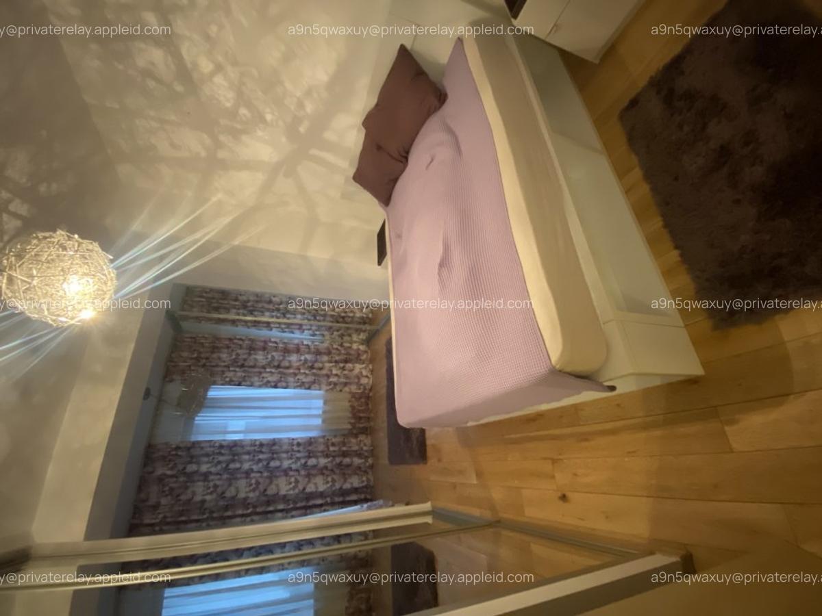 2 camere North Area Lake View Herastrau Aviatiei/Bordei - 5