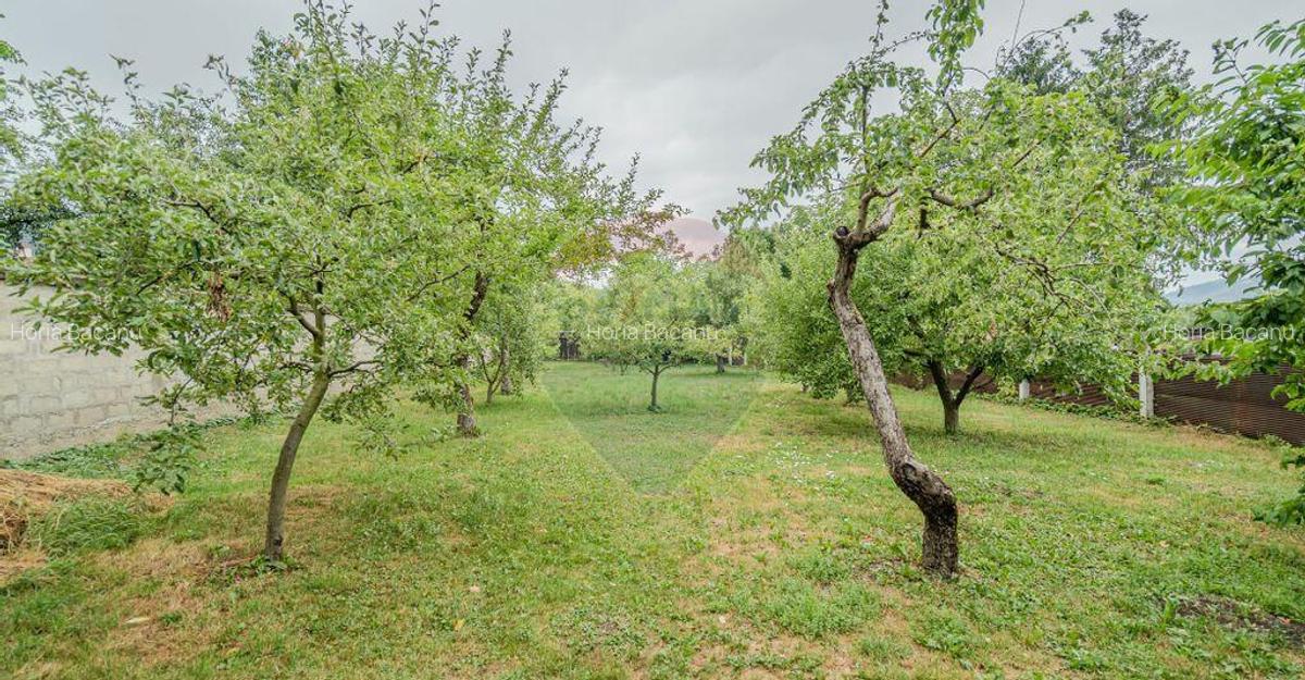 Comision 0 | Casa cu 3 camere, teren 1541 mp, livada, b... - 2