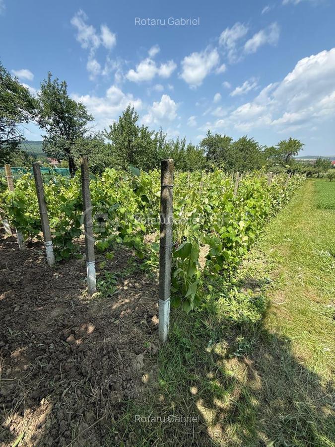 Casă individuală cu 4 camere în Voinești - 9