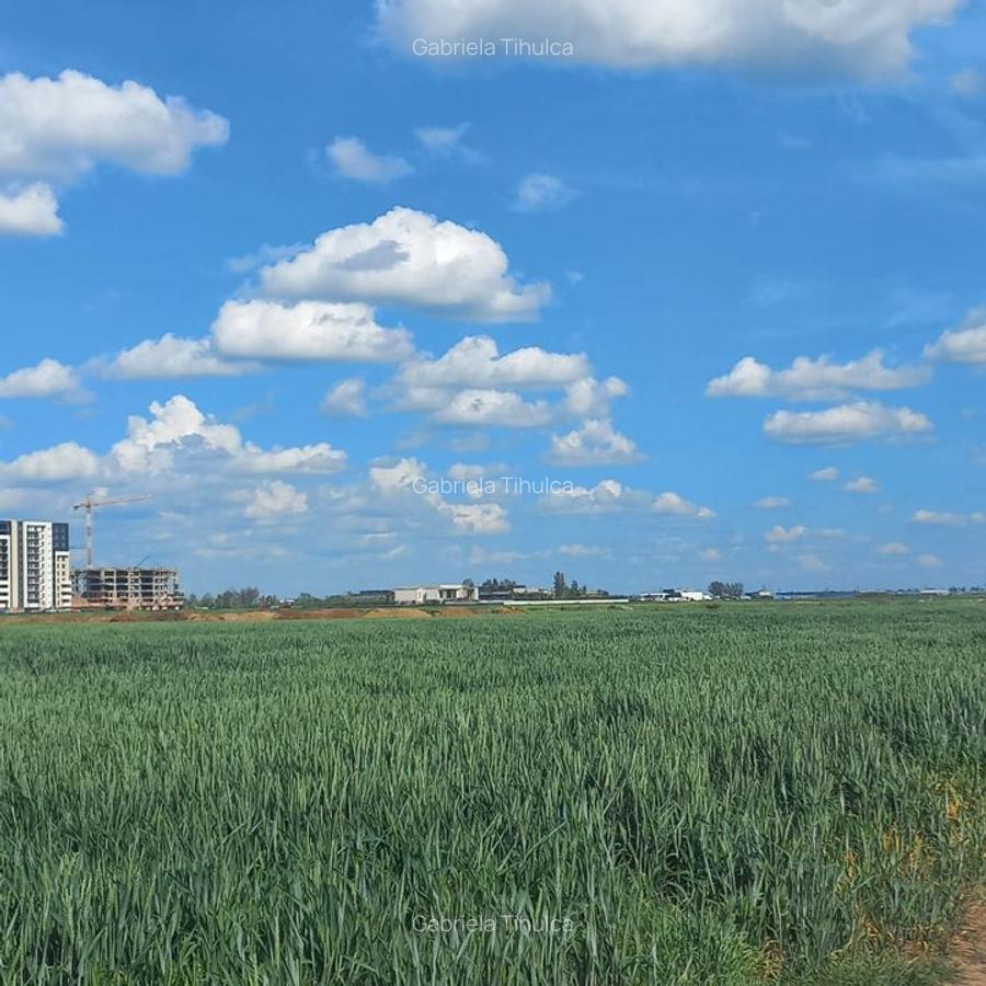 Teren ideal pentru dezvoltare rezidențială 10.000 mp, deschidere 44 m Utilitati - 3