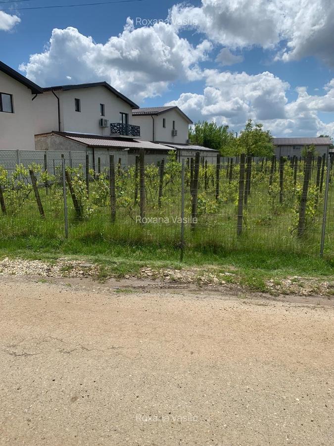 Vanzare Teren Intravilan  3000mp  str  Stadionului Stefanesti de Jos - 2