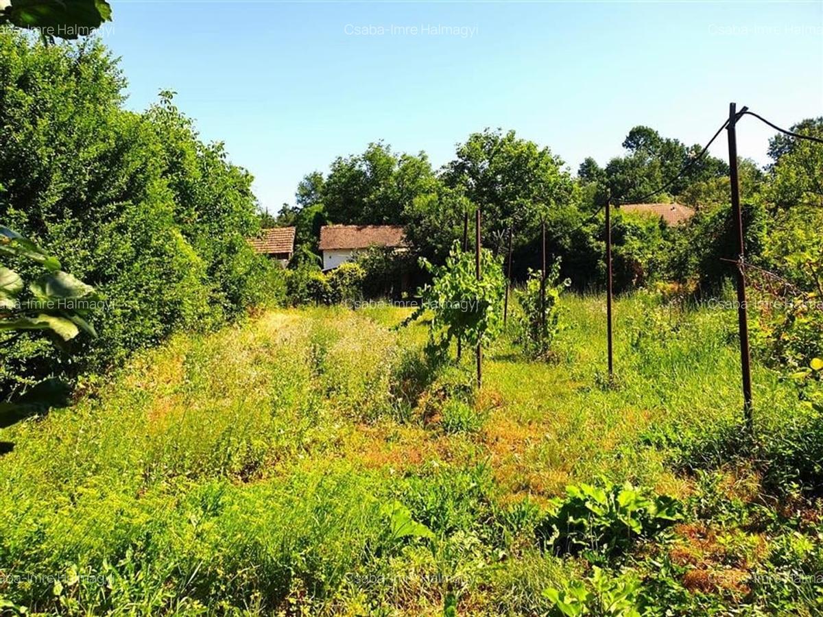 Casă individuală cu 2 camere în Ginta - 16