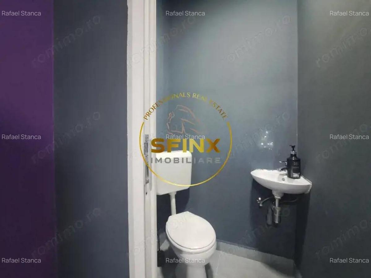 De inchiriat Spatiu Comercial Banu Manta - 9