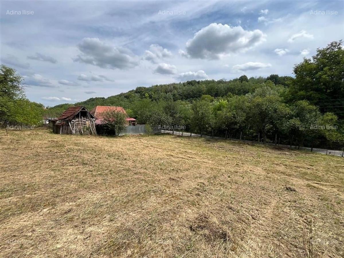 RECO Casa batraneasca cu teren generos la Lupoaia -Holod - 15