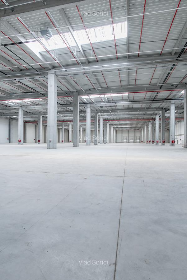 Depozit Hala Autorizata ISU 600 mp -15000 mp - 3 Depozit Hala Autorizata ISU 600 mp -15000 mp - 3