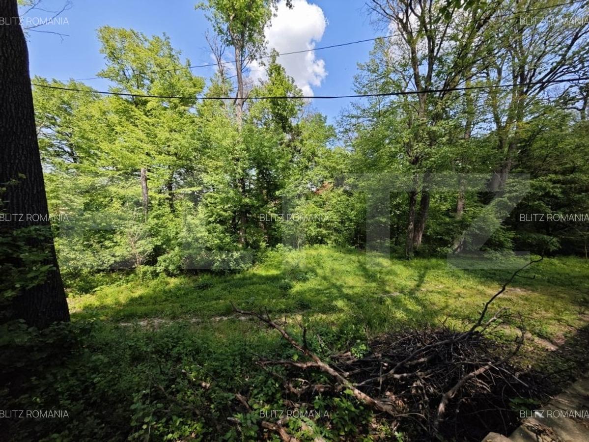 Casuta de vacanta in padure , zona Barnova - 7