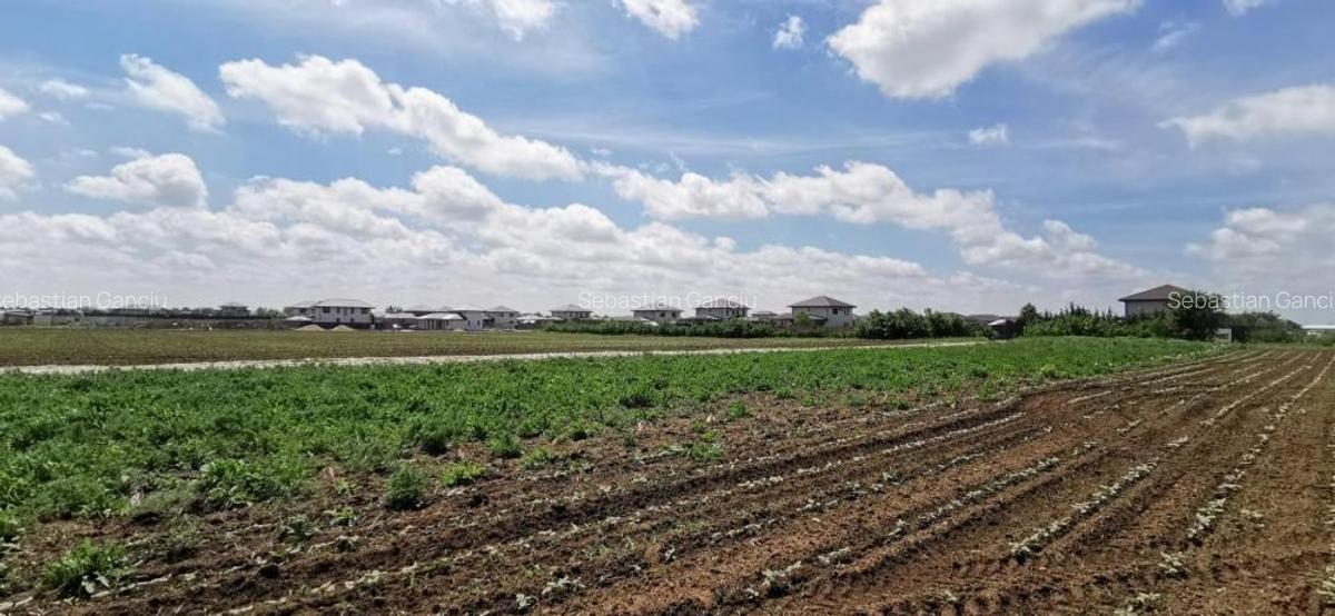 Balotesti 2 loturi de 1400mp, 2 loturi a cate 750mp - 8 Balotesti 2 loturi de 1400mp, 2 loturi a cate 750mp - 8