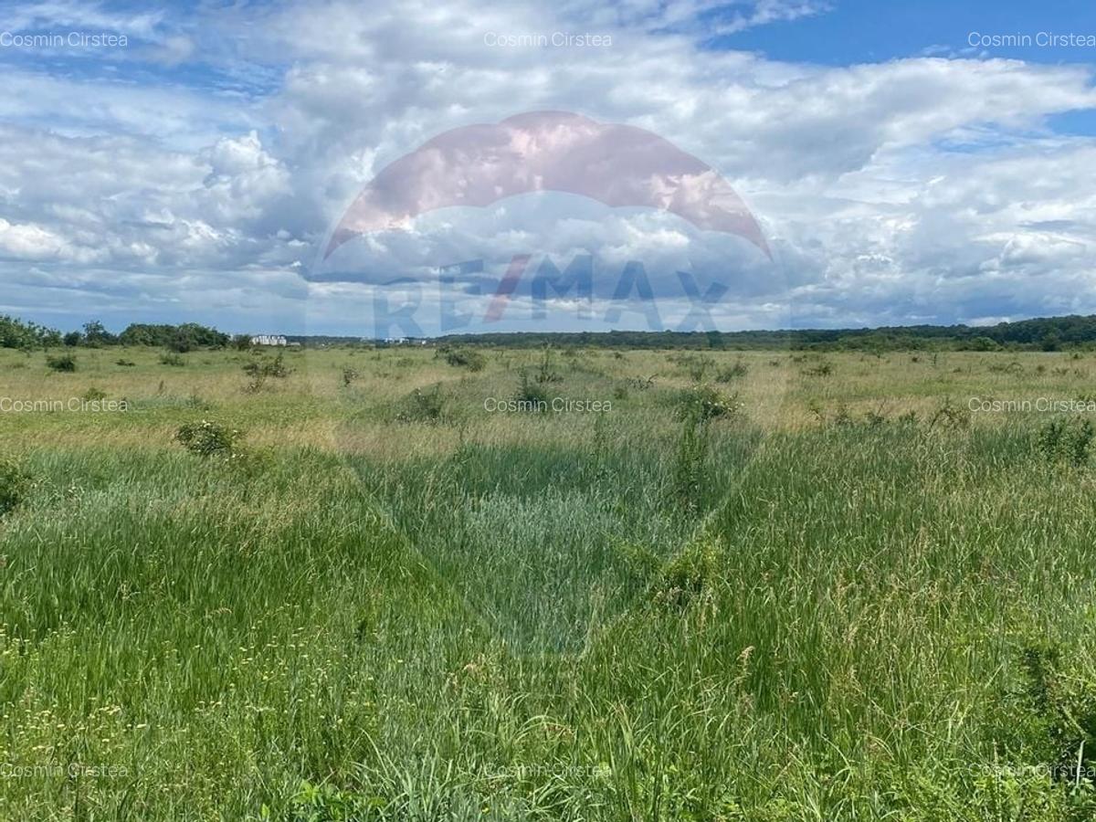 DE VANZARE Teren 5,000mp Sisesti Drumul Piscul Mosului - 8