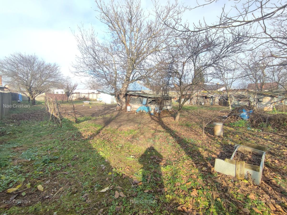 Teren Generos de 1160 mp cu Potențial  în Afumați – Deschidere Stradala 26m - 7