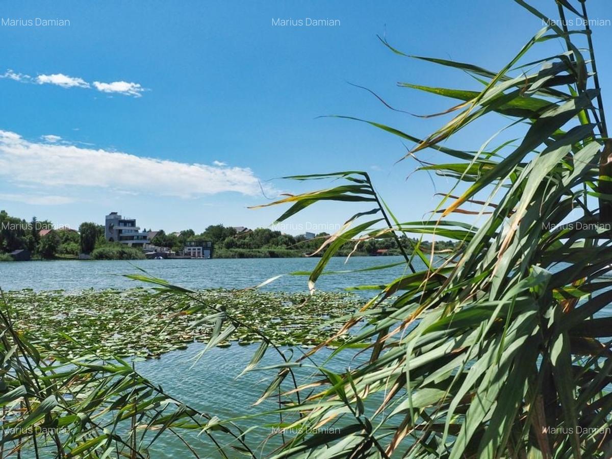 VILA 6 CAMERE SNAGOV IZVORANI LAC -TEREN 1800mp - 1