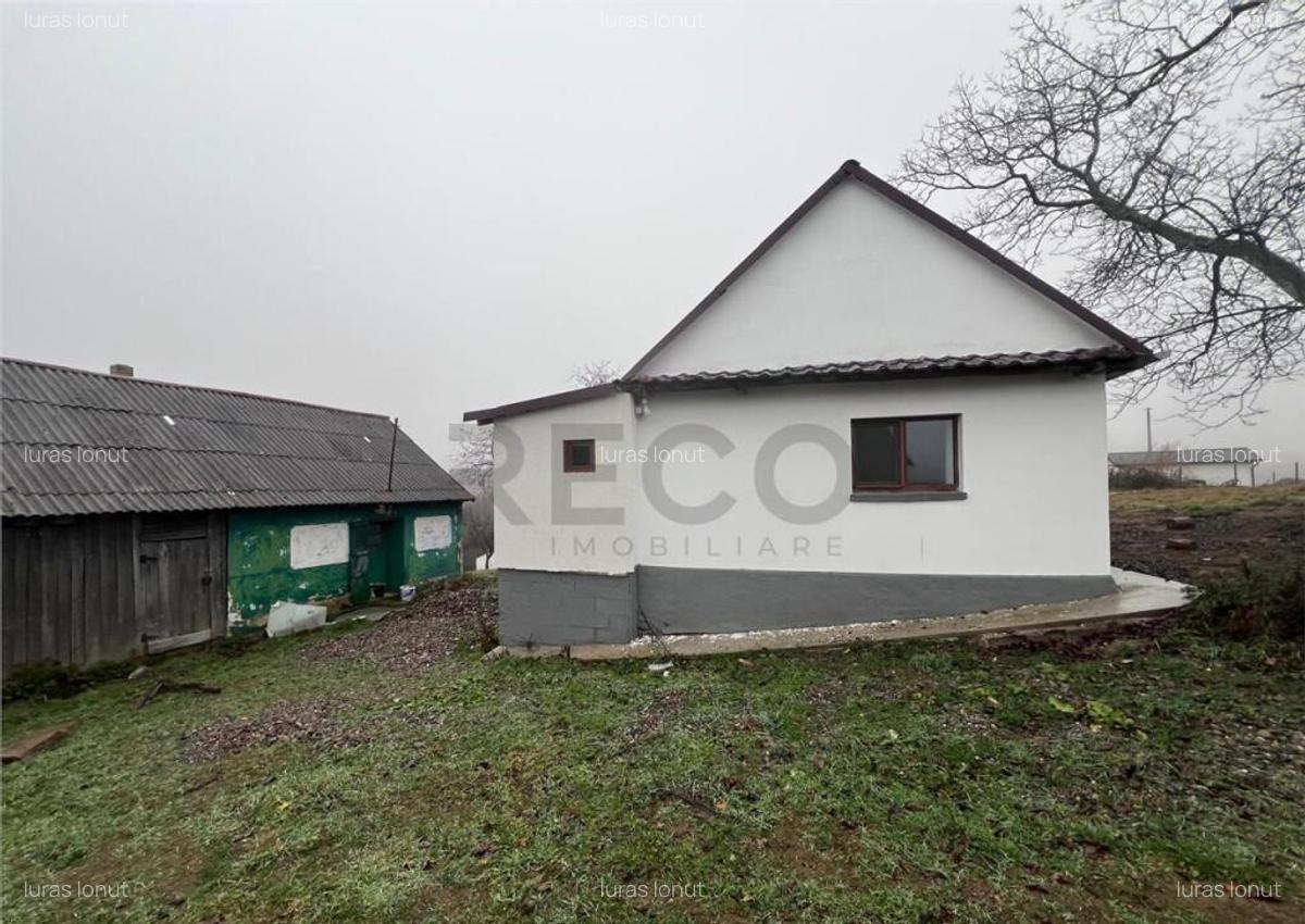RECO, casa in Sinteu, aproape de Huta Slavia - 11