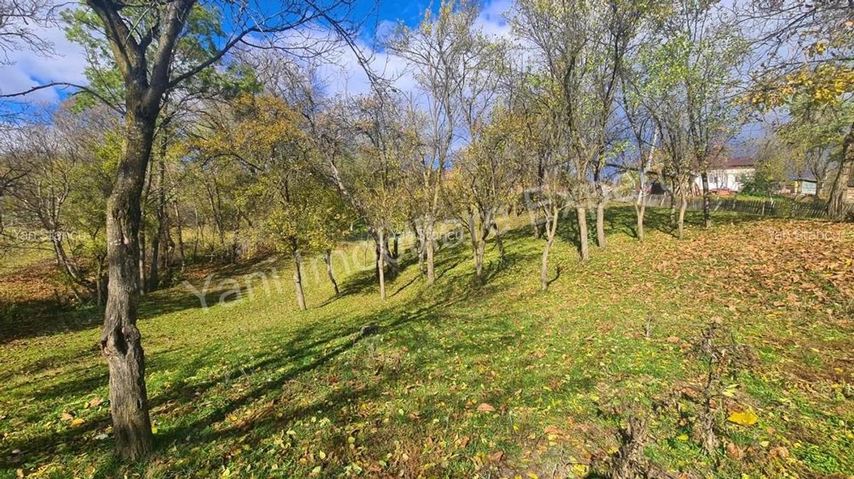 Teren de vanzare in comuna Arefu, jude? Arge?. - 7