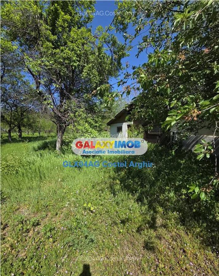 Vindem teren intravilan 3600 mp Calinesti , deschidere 58 m - 2