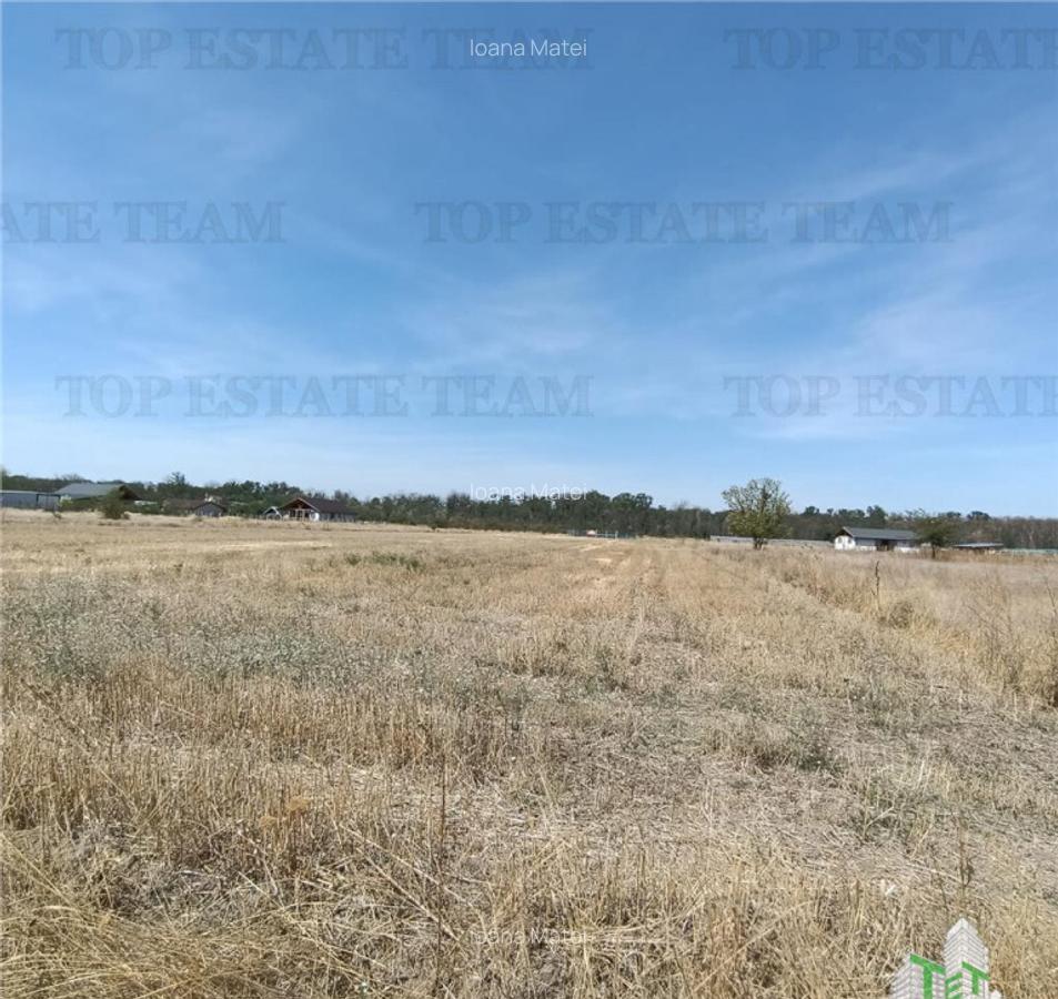 Teren intravila de / Pruni/ Magurele - 3