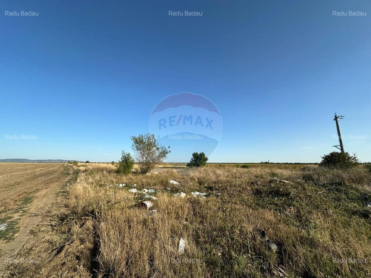 Teren extravilan de vanzare - 19.963 mp, E68 Mandruloc-Vladimirescu - 4