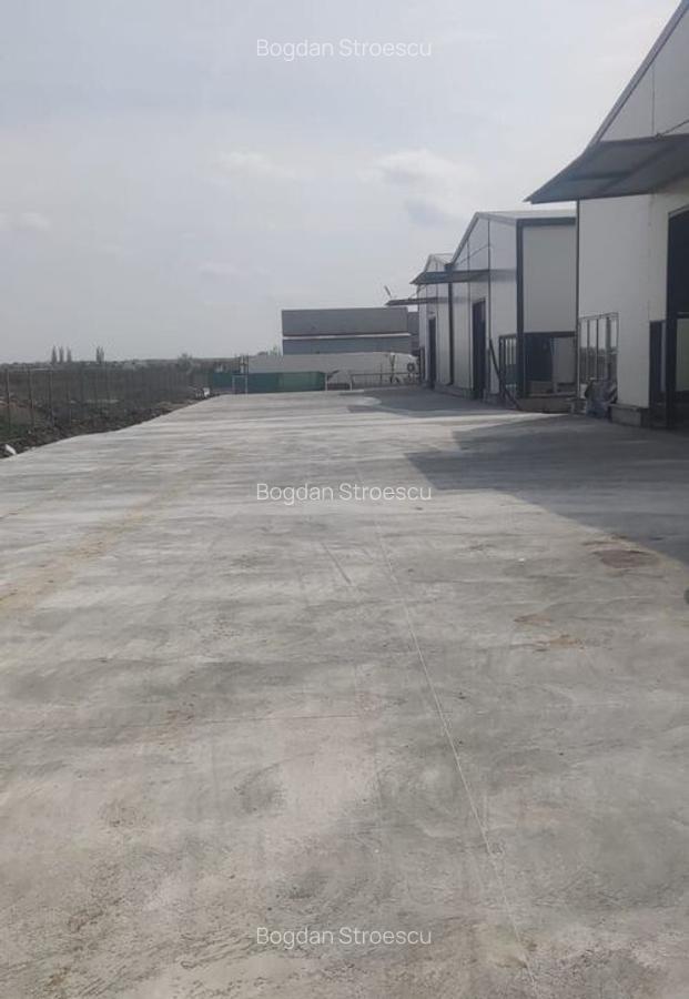 2 Hale noi Afumati- Moara Domneasca - 10