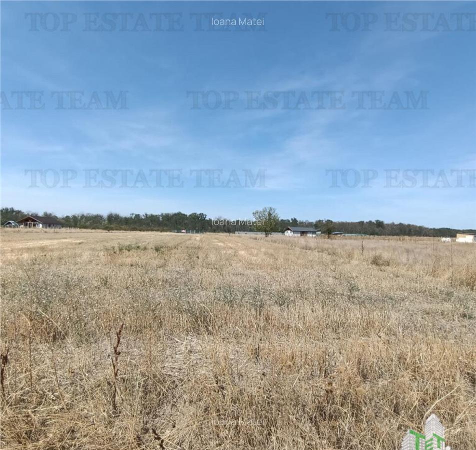 Teren intravila de / Pruni/ Magurele - 5