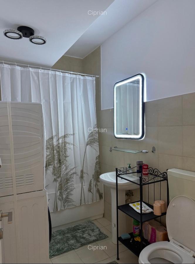 Apartament la 3 minute de metrou - Camil Ressu - N Grigorescu- parc IOR - 2