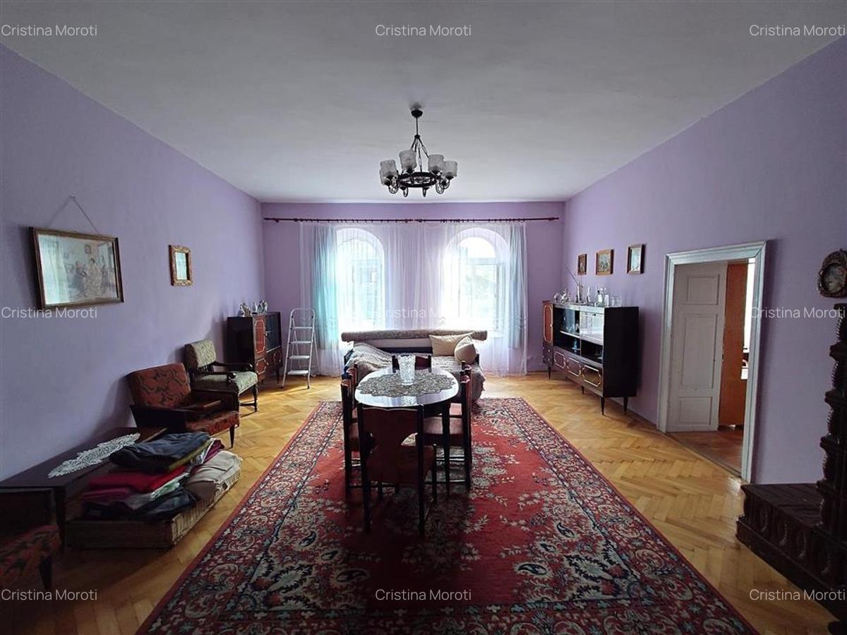 Casa cu aer nobil in Baia de Cris - 14