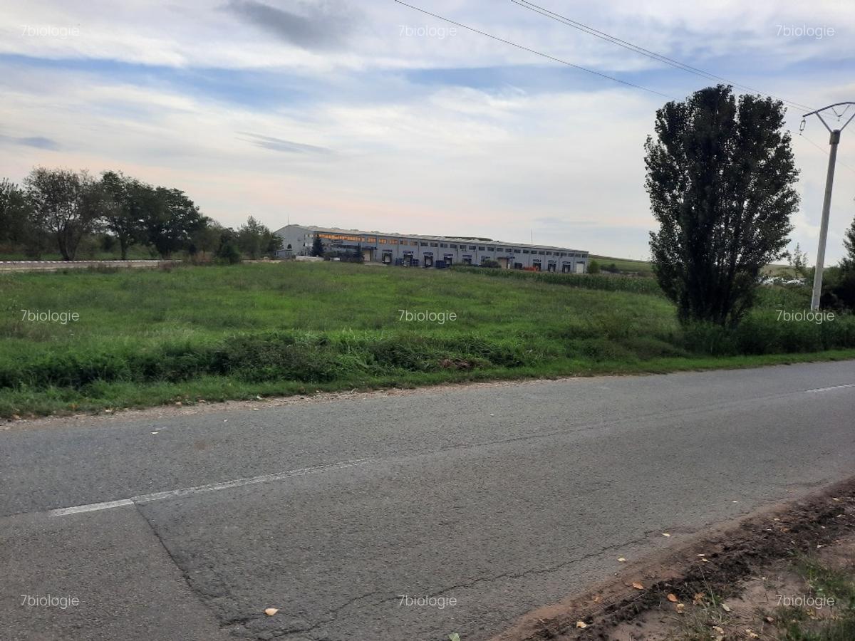 Teren, 5800 mp, intravilan in Comuna Tureni, Jud Cluj - 3