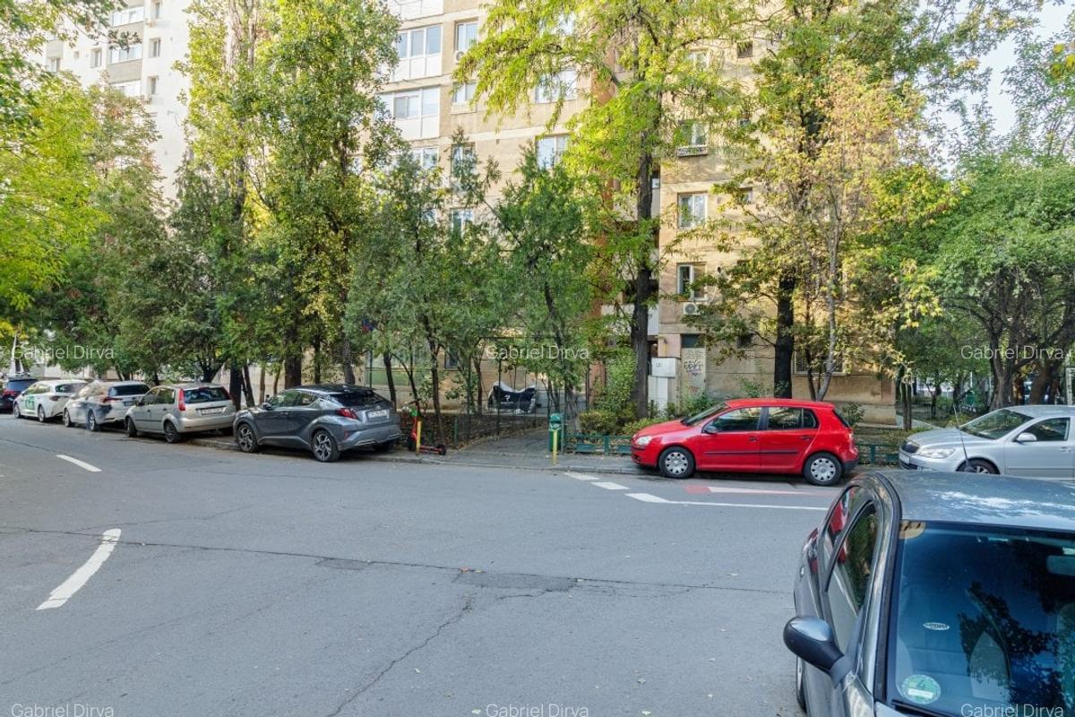Apartament luminos complet mobilat vis a vis de Parcul Moghioros - 14