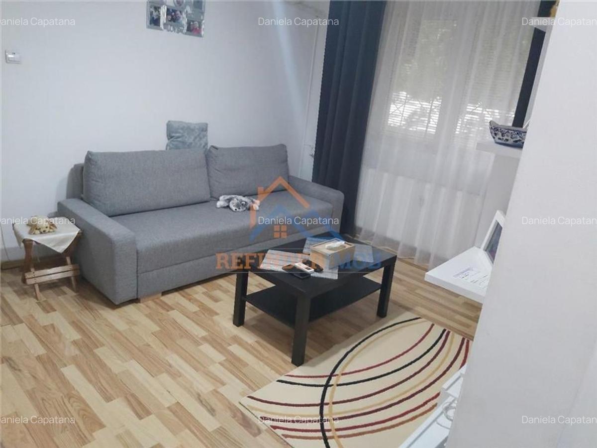 Apartament cu 2 camere semidecomandat, mobilat în Valea Ialomiței - 5