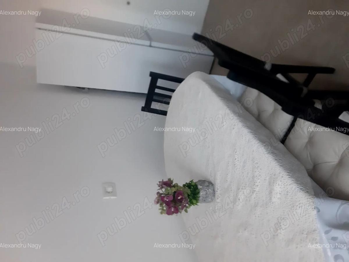 Apartament cu 2 camere de inciriat Direct de la proprietar - 9