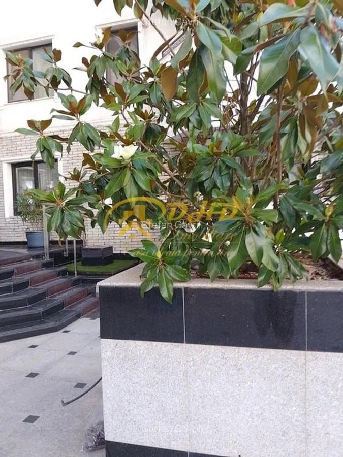 Apartament cu 2 camere semidecomandat în Copou - 1