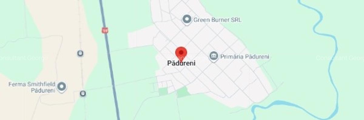 Teren intravilan 887 mp, TIMIS, PADURENI - 1